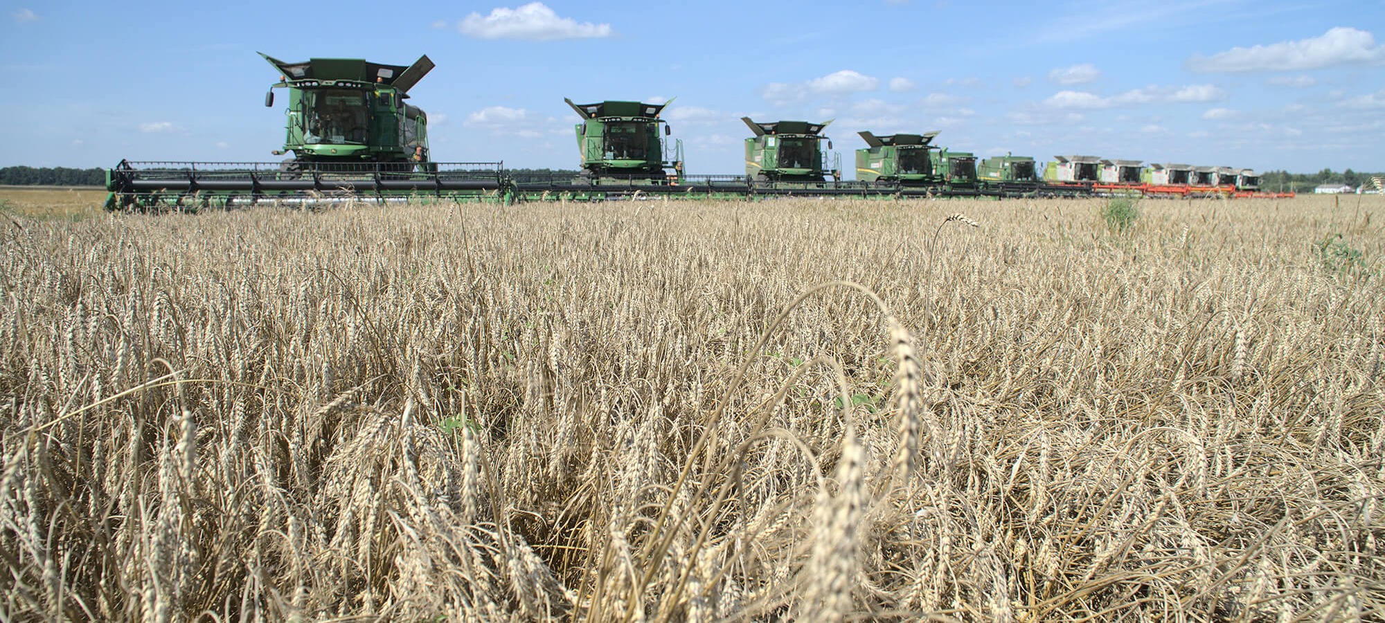 Corporate TV - detail 4